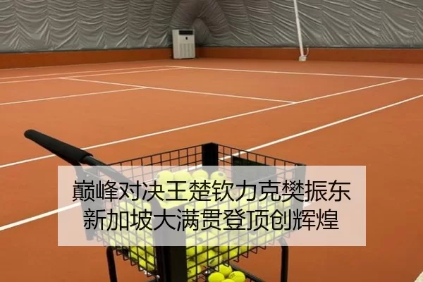 巅峰对决王楚钦力克樊振东 新加坡大满贯登顶创辉煌